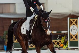 Zväčšiť fotografiu - Medzinárodné drezúrne preteky v motešiciach