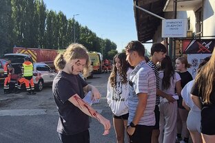 Zväčšiť fotografiu - 